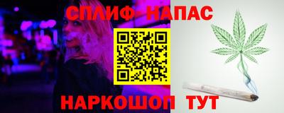 скорость Новозыбков