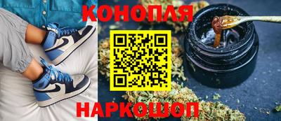 скорость Новозыбков