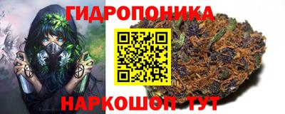 кокс Новодвинск