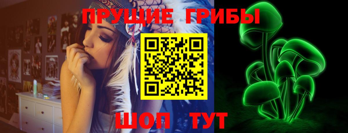 Галлюциногенные грибы мицелий  Вход с VPN  Черногорск 